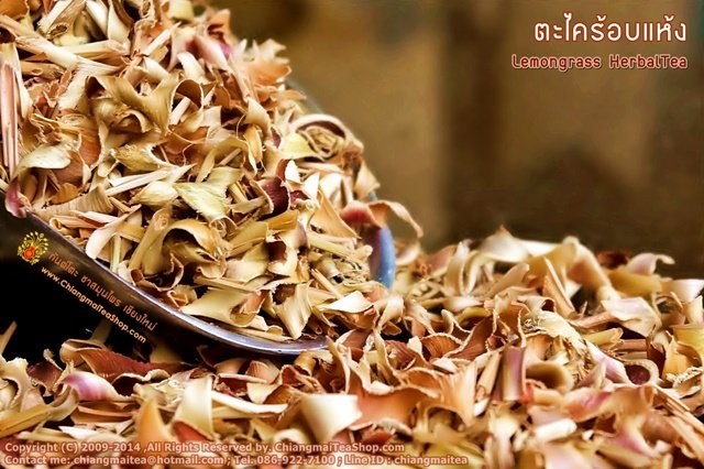 Chiang Mai Tea Lemongrass Dried Herbal Tea ‚ 1 kg