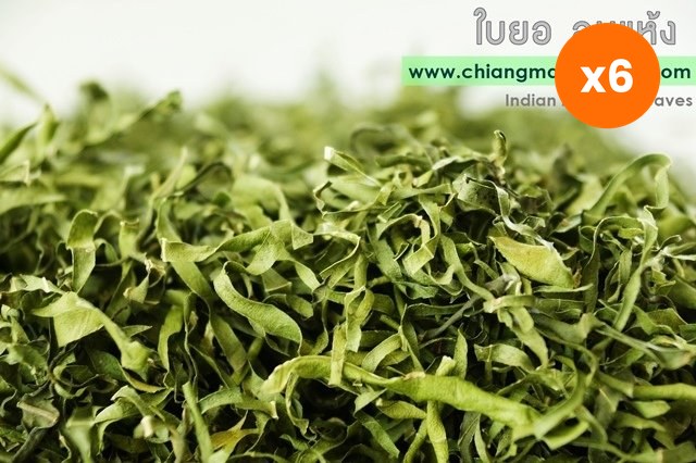 Chiang Mai Tea Noni Leaf Herbal Tea for Everyday Nutrition Support 1 kg