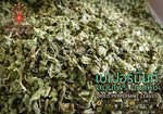 Chiang Mai Tea Peppermint Dried Herbal Tea ‚ 500 g