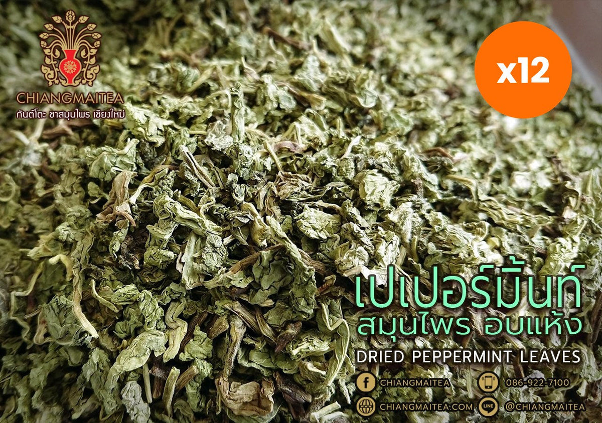 Chiang Mai Tea Peppermint Herbal Tea Caffeine Free for Digestive Comfort 100 g