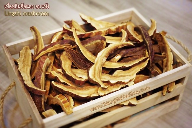 Chiang Mai Tea Reishi Mushroom (Lingzhi) Dried Slices ‚ 1 kg