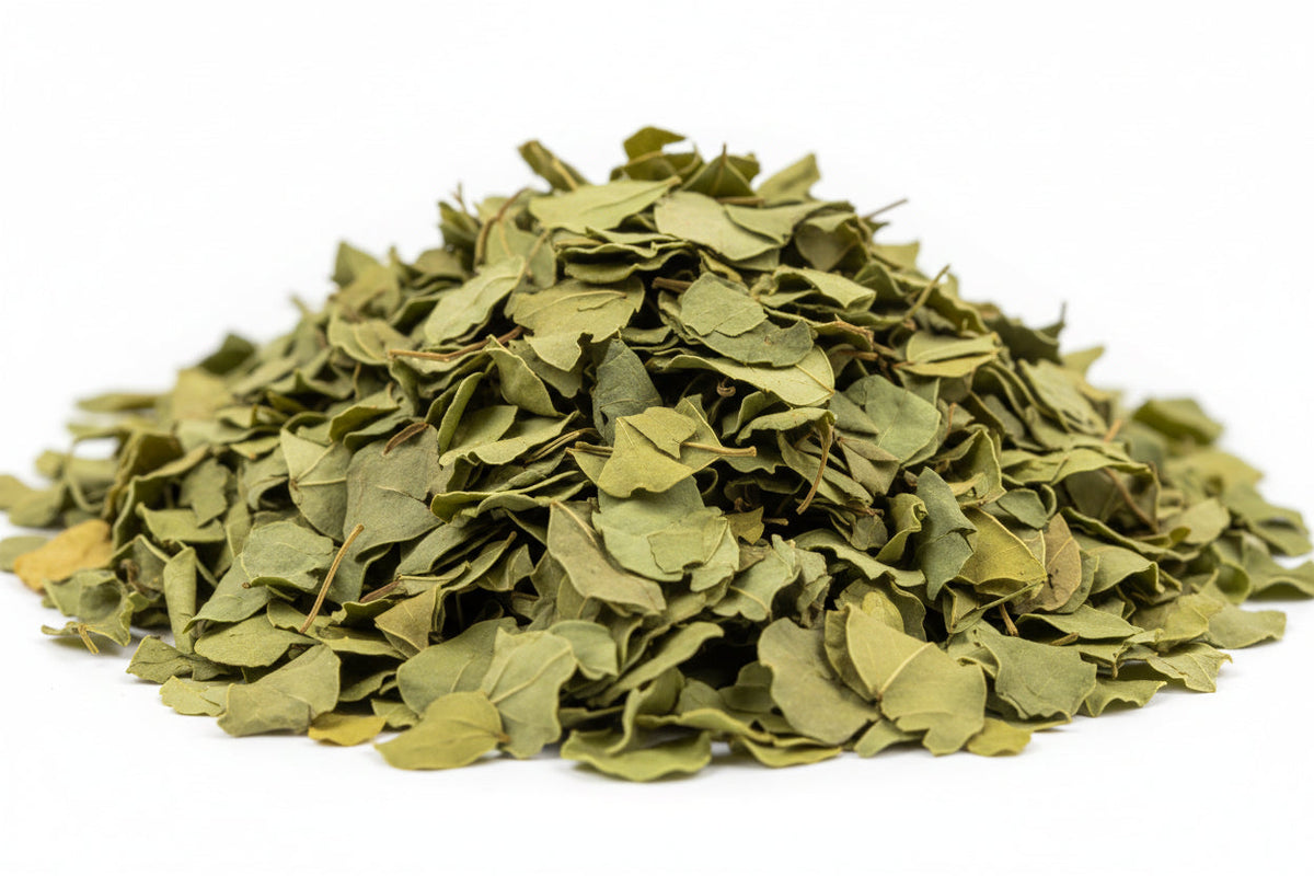 Chiang Mai Tea Senna Leaf Dried Herbal Tea ‚ 1 kg
