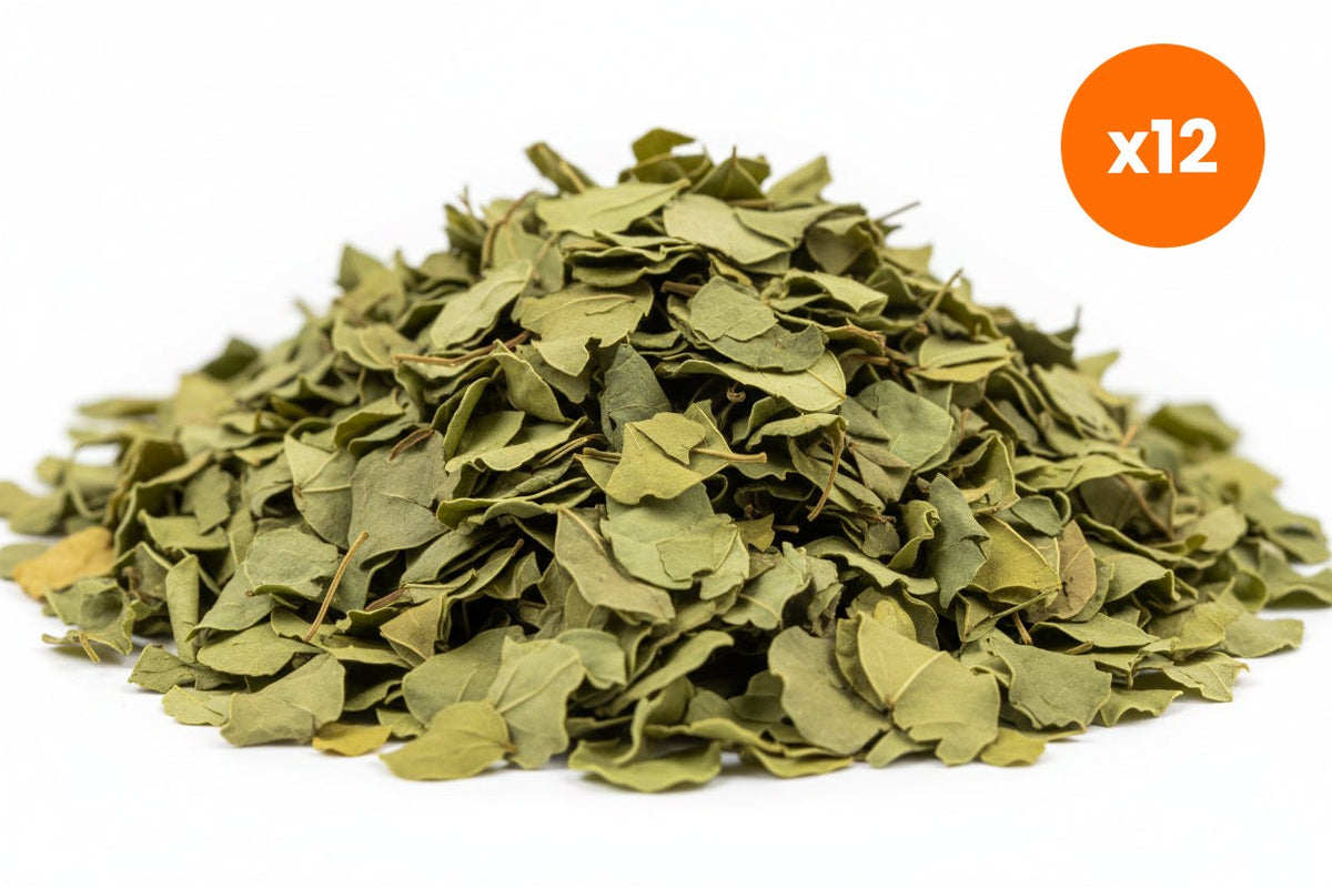 Chiang Mai Tea Senna Leaf Herbal Tea for Regularity Support 1 kg