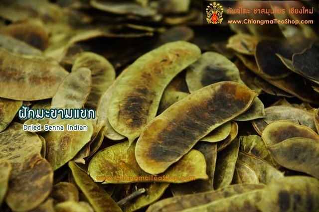 Chiang Mai Tea Senna Pods Dried Herbal Tea ‚ 1 kg