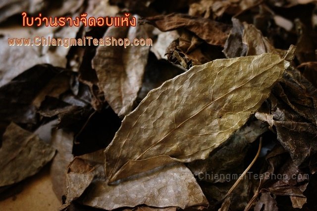 Chiang Mai Tea Thunbergia Laurifolia (Rang Jued) Dried Herbal Tea ‚ 1 kg