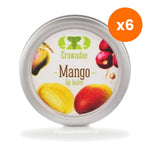 Erawadee Mango Lip Balm for Dry Lips and Cold Weather Protection 10 g