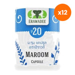 Erawadee No.20 Moringa Capsules 250mg for Everyday Nutritional Support 100 Capsules