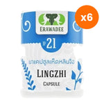Erawadee No.21 Reishi Mushroom Capsules Daily for Everyday Immune Support