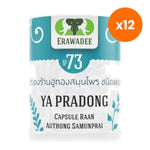Erawadee No.73 Ya Pradong Herbal Capsules 500mg for Skin Comfort 100 Capsules