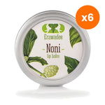Erawadee Noni Herbal Lip Balm Moisturizing Lip for Cold Weather Protection 10 g