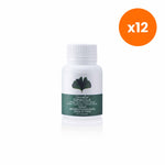 Giffarine Ginkgola Ginkgo Biloba Extract 40mg for Everyday Mental Alertness 60 Capsules
