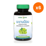 Herbal One Amla Extract Capsules 300mg for Daily Immune Support