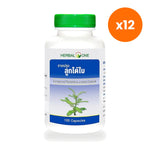 Herbal One Chanca Piedra Capsules 135mg for Liver and Urinary Support 100 Capsules