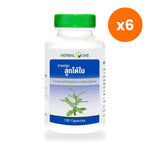 Herbal One Chanca Piedra Capsules 135mg for Liver and Urinary Support 100 Capsules
