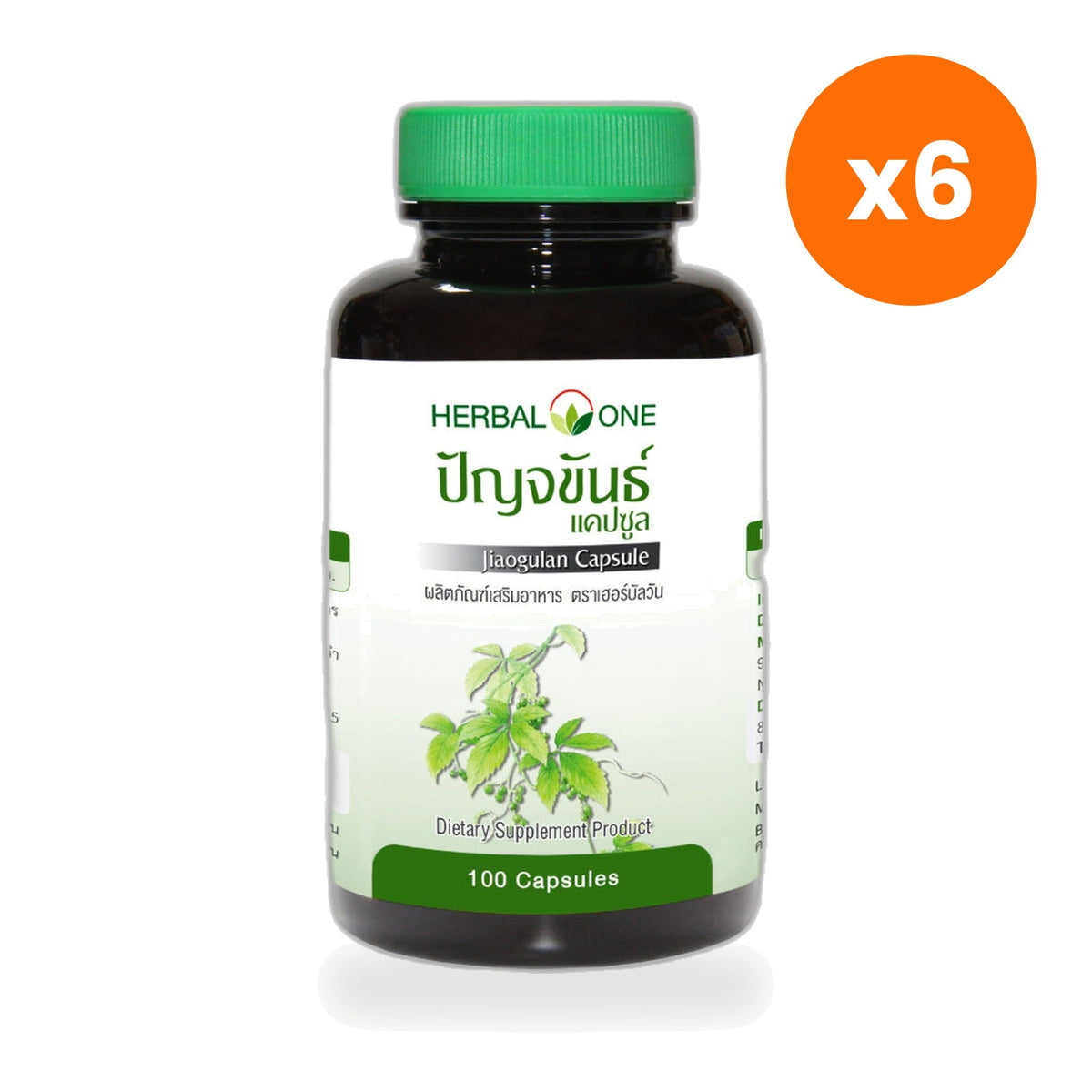 Herbal One Jiaogulan Extract Capsules 300mg for Everyday Wellness 100 Capsules