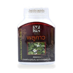 Houttuynia cordata Herbal Capsules ‚ 100 Capsules