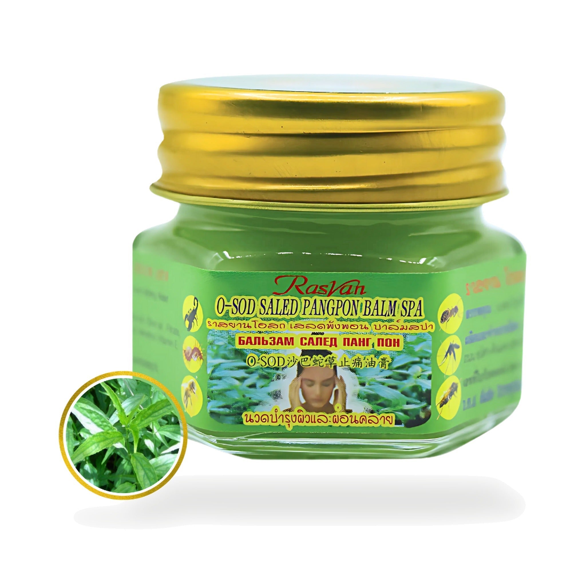 ISME Rasyan Osot Spa Balm with Clinacanthus nutans ‚ 15 g