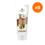 Khaokho Talaypu Hair Mask Coconut and Avocado for Scalp and Hair Care 200 g – 6 pack bundle