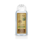 Khaokho Talaypu Herbal Shampoo Aloe Vera Original Formula for Hair Care 200 ml