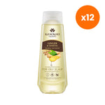 Khaokho Talaypu Shampoo Ginger and Ginseng for Scalp and Hair Care 330 ml – 12 pack bundle