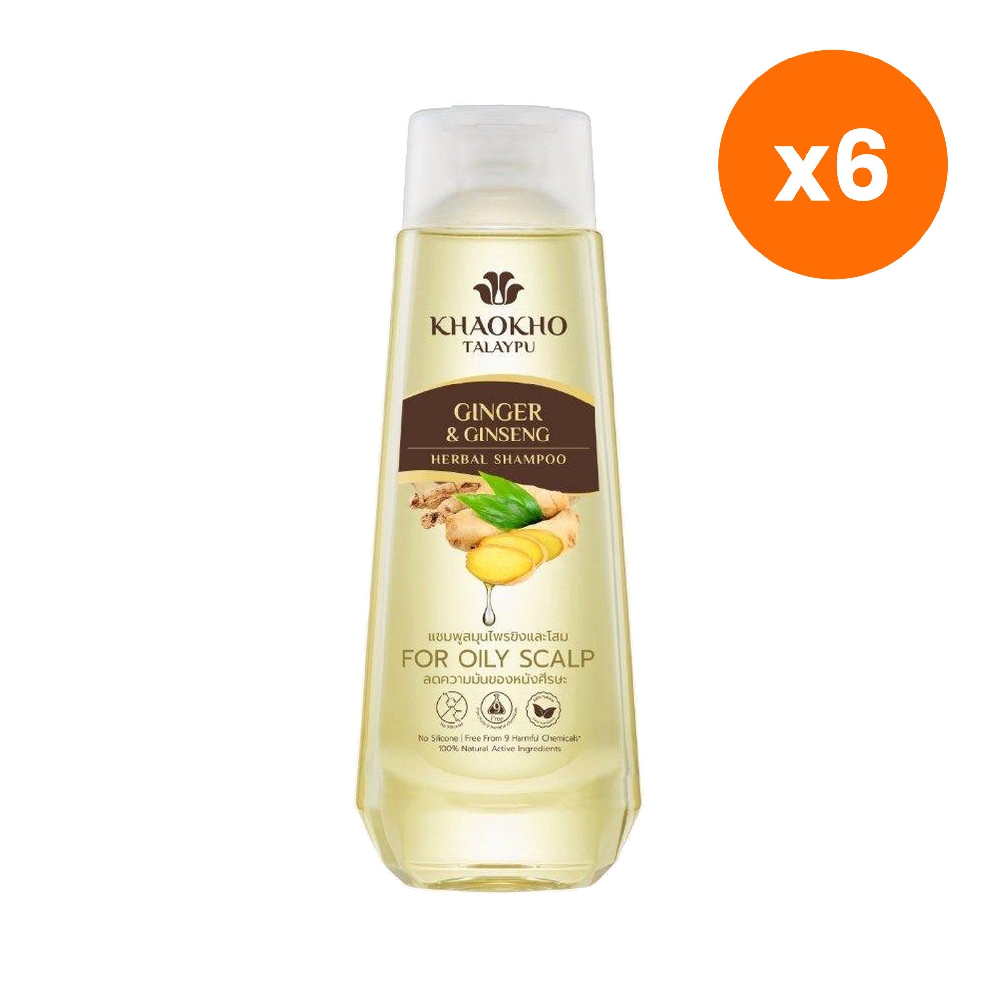 Khaokho Talaypu Shampoo Ginger and Ginseng for Scalp and Hair Care 330 ml – 6 pack bundle