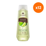 Khaokho Talaypu Shampoo Kaffir Lime and Gotu Kola for Scalp and Hair Care 330 ml – 12 pack bundle