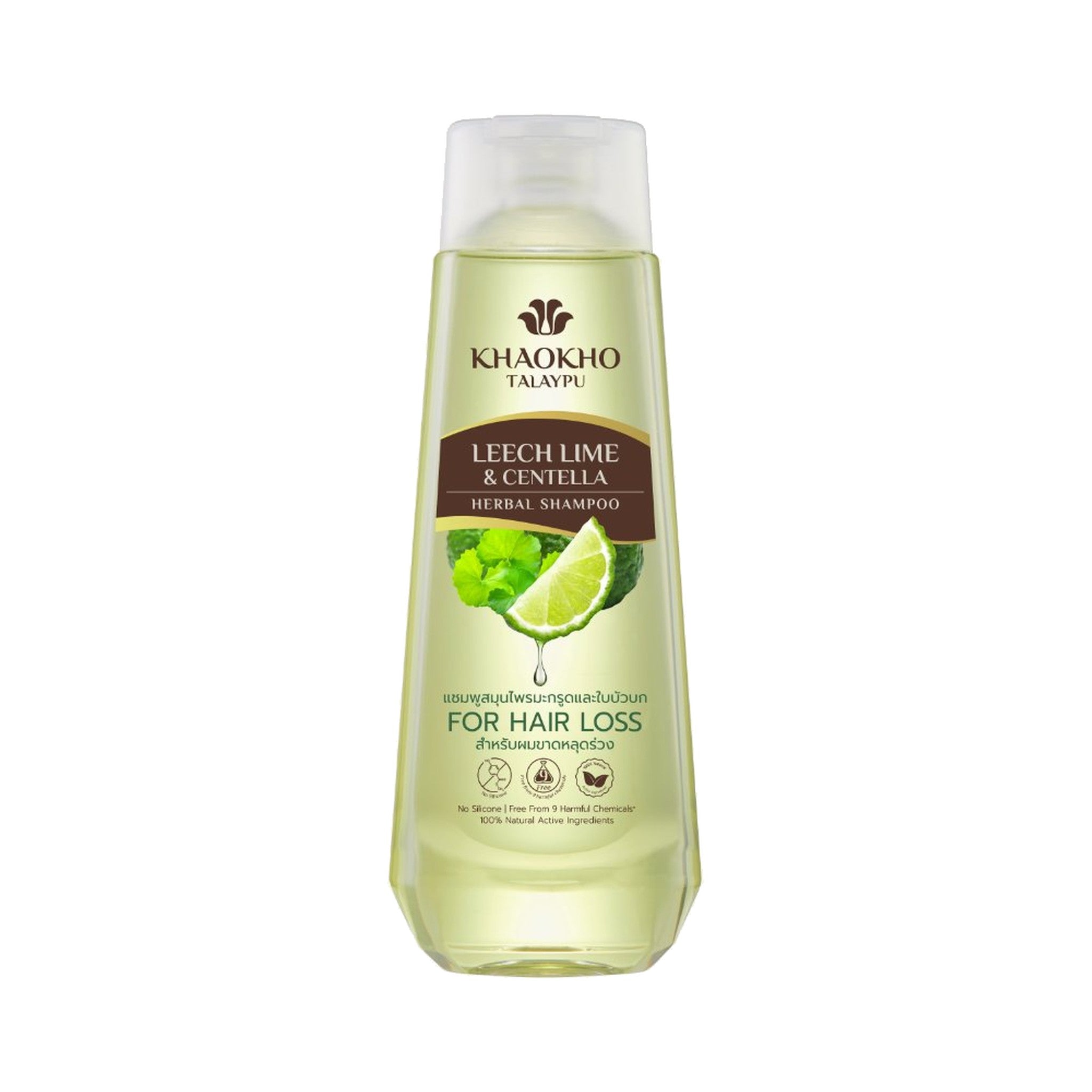 Khaokho Talaypu Shampoo Kaffir Lime and Gotu Kola for Scalp and Hair Care 330 ml