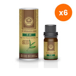 Khaokho Talaypu Tea Tree Essential Oil for Aromatherapy Relief 10 ml – 6 pack bundle