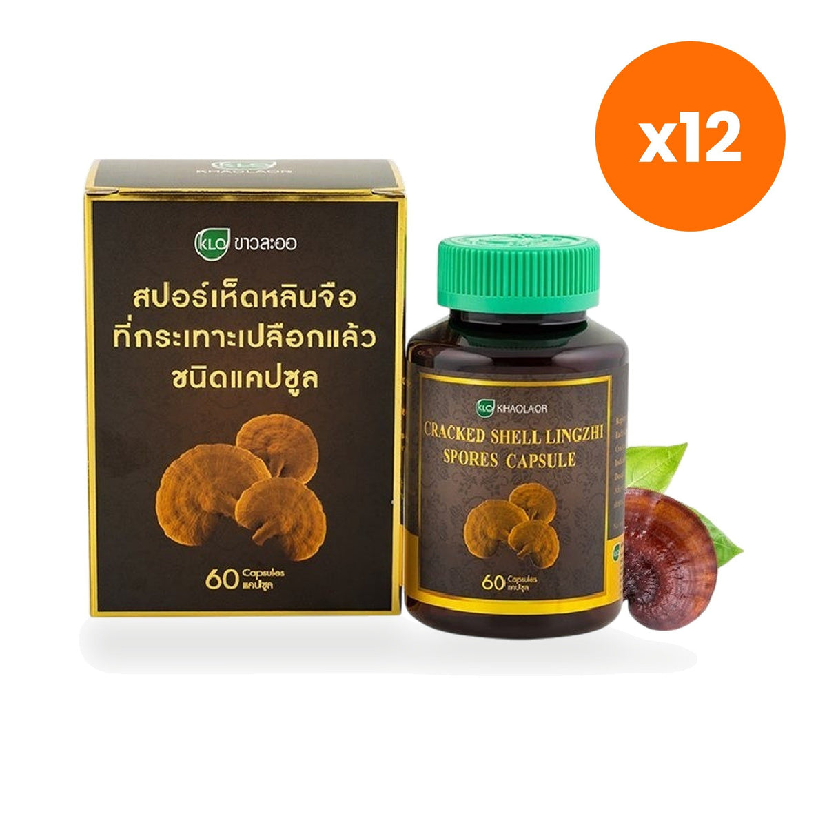 Khaolaor Reishi Mushroom Spore for Daily Immune Support Capsules 250mg 60 Capsules