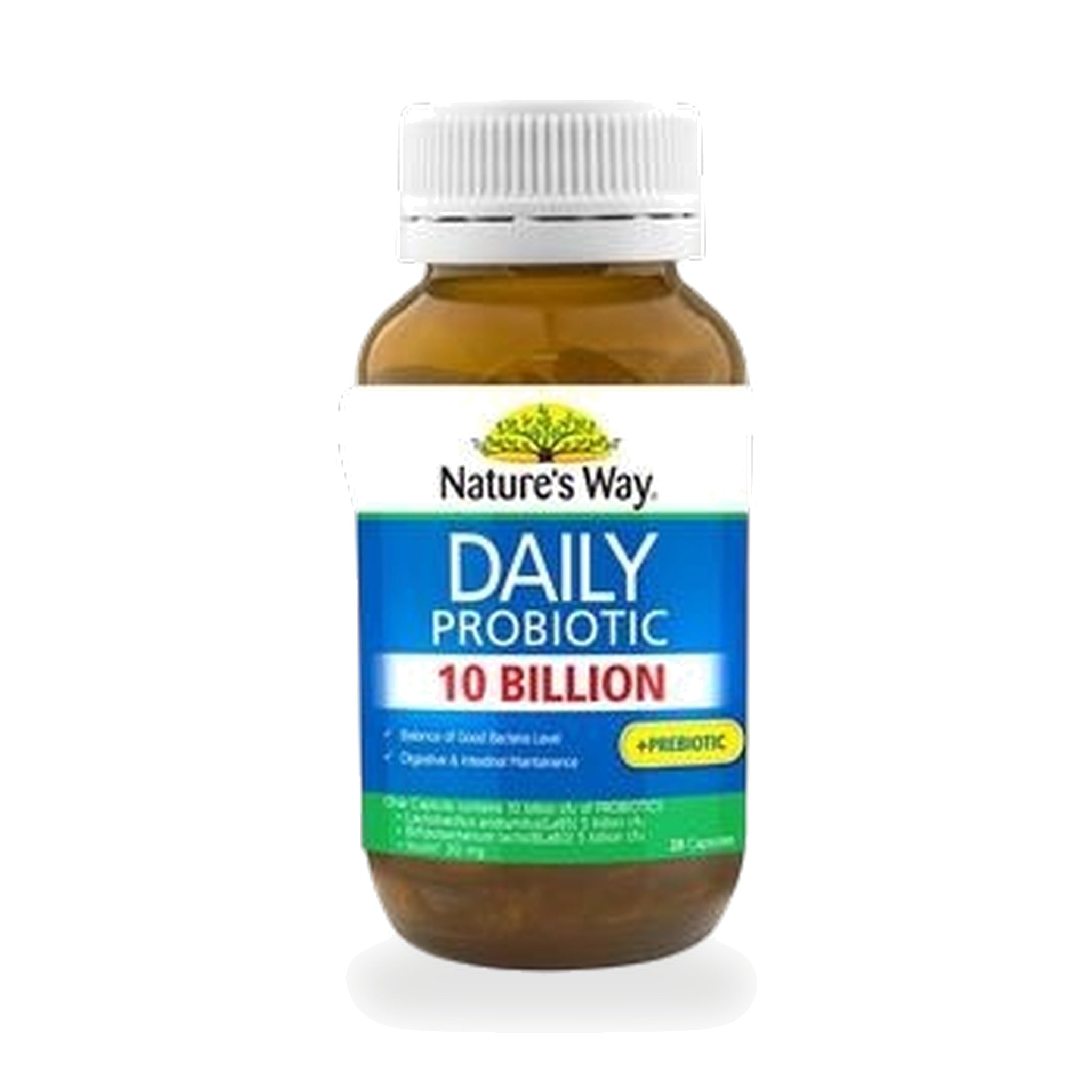 Nature's Way Daily Probiotic Capsules ‚ 28 Capsules