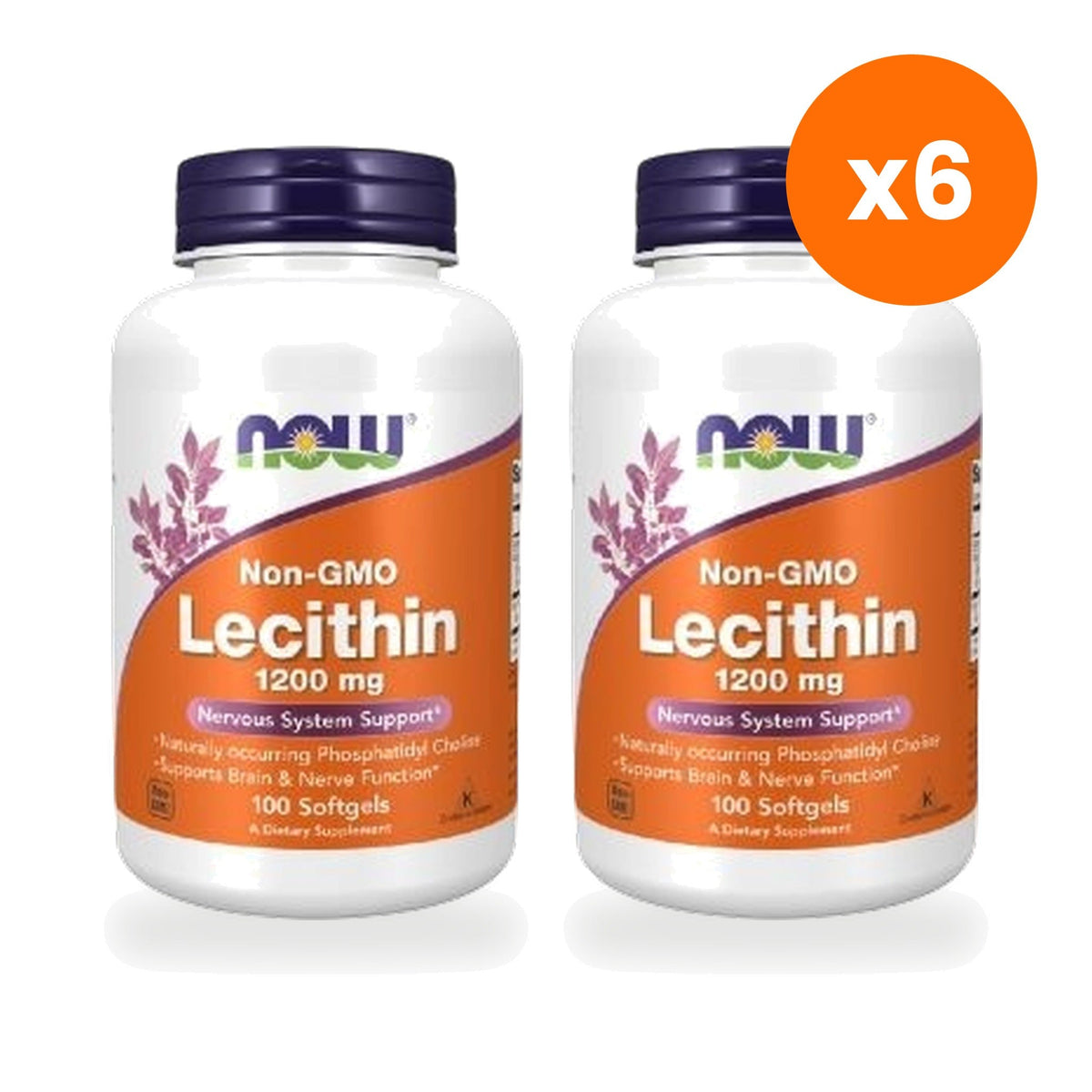NOW Foods Lecithin 1200mg Softgels for Everyday Wellness Twin Pack