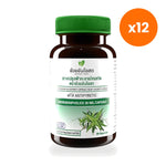 Ouay Un Osoth Andrographis 200mg 20mg Andrographolide for Everyday Wellness 20 Capsules