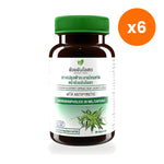 Ouay Un Osoth Andrographis 200mg 20mg Andrographolide for Everyday Wellness 20 Capsules
