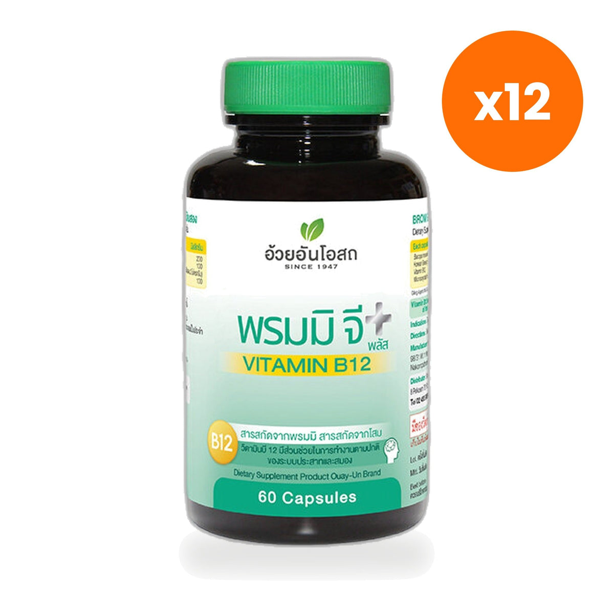 Ouay Un Osoth Bacopa G Plus Ginseng B12 for Mental Clarity and Focus 60 Capsules