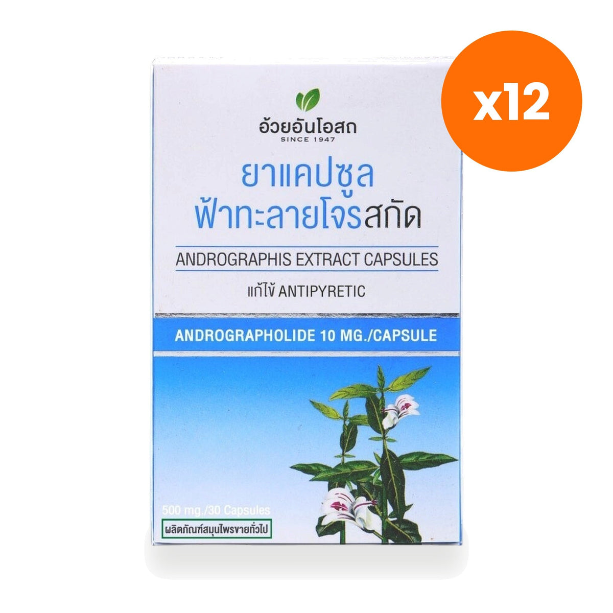 Ouay Un Osoth Fa Talai Jone Andrographis 200mg for Cooling Seasonal Support 30 Capsules