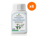 Ouay Un Osoth Fa Talai Jone Andrographis 274mg for Daily Immune Support 100 Capsules