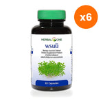 Ouay Un Osoth Herbal One Bacopa Extract 300mg for Mental Clarity 60 Capsules