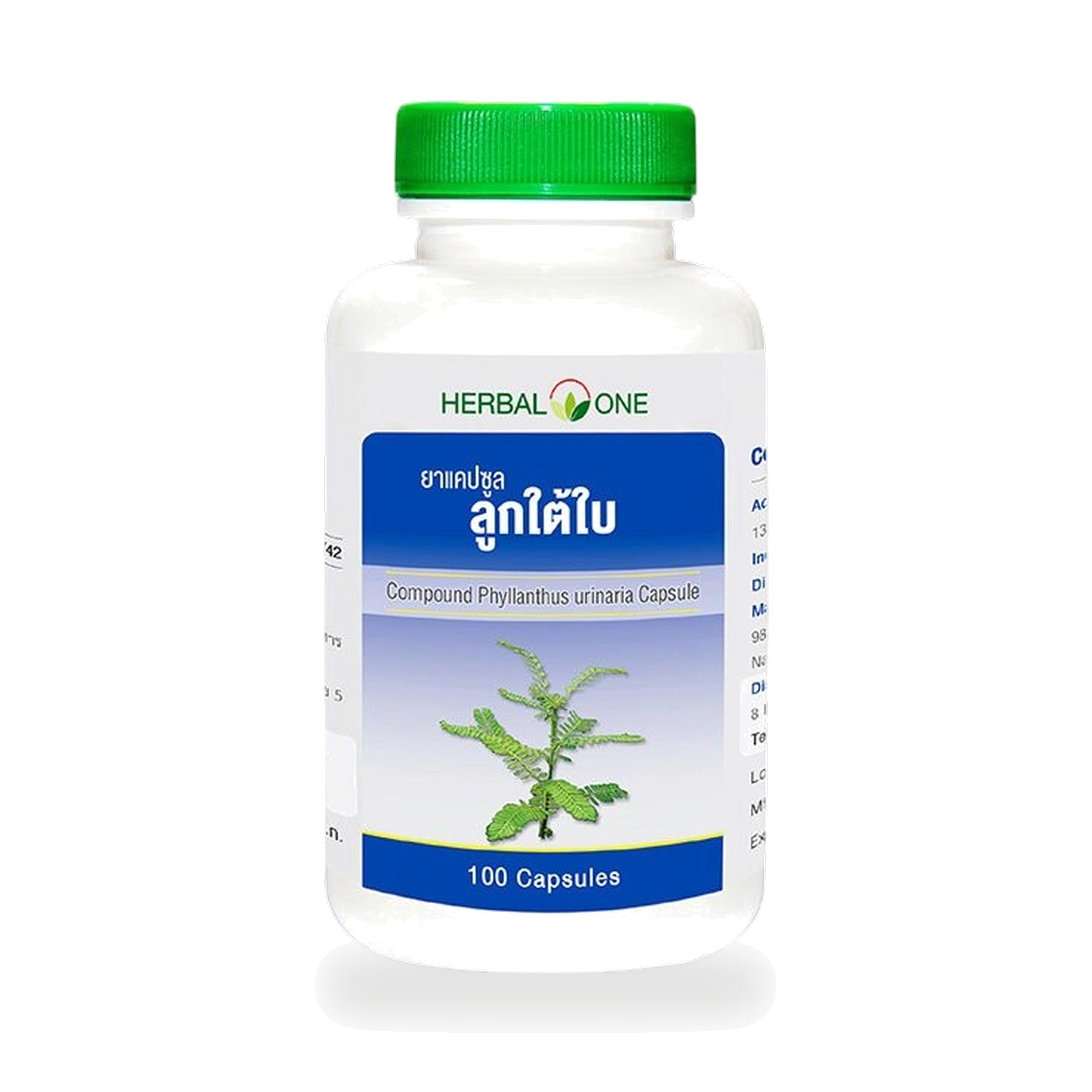Ouay Un Osoth Herbal One Chanca Piedra Capsules 135mg ‚ 100 Capsules
