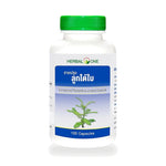 Ouay Un Osoth Herbal One Chanca Piedra Capsules 135mg ‚ 100 Capsules