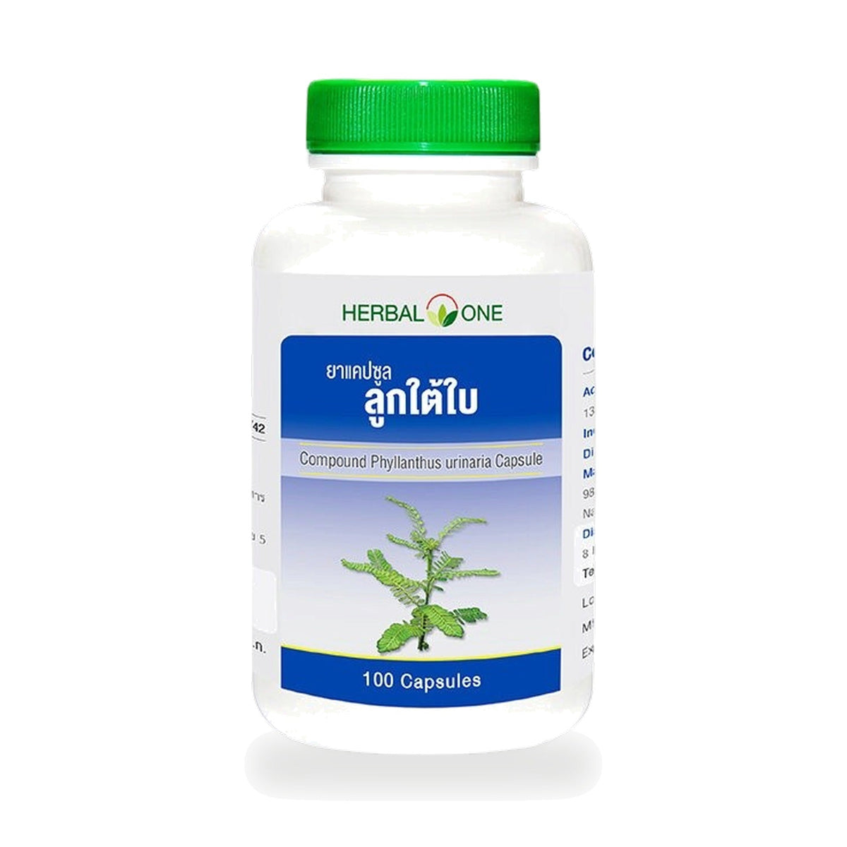 Ouay Un Osoth Herbal One Chanca Piedra Capsules 135mg ‚ 100 Capsules