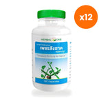 Ouay Un Osoth Herbal One Cissus Quadrangularis for Everyday Wellness 100 Capsules