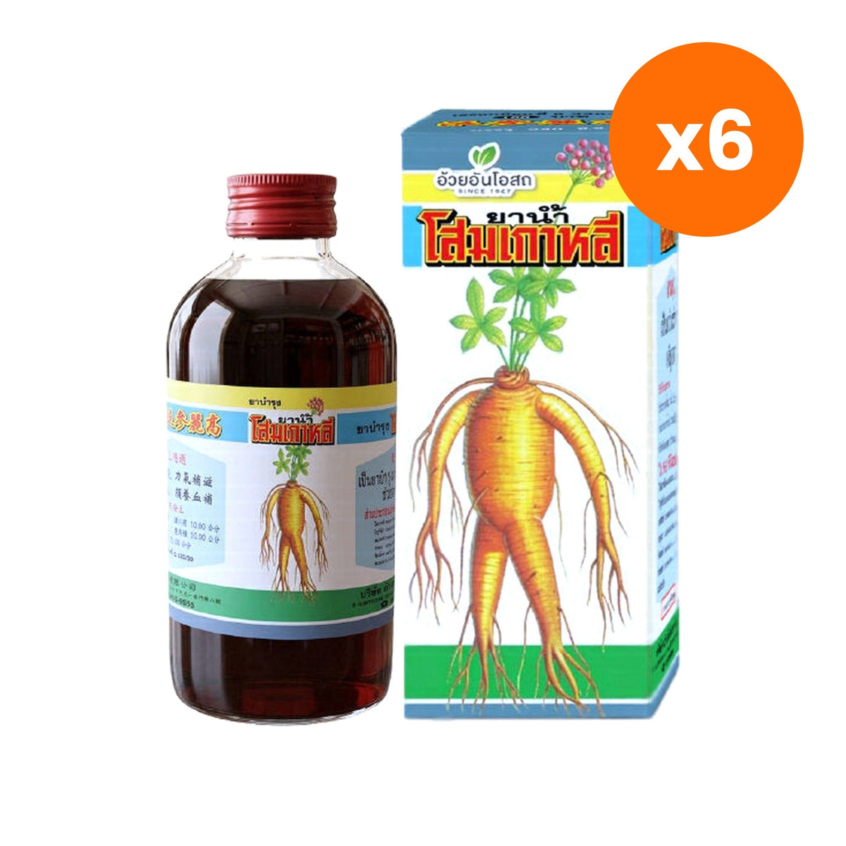 Ouay Un Osoth Korean Ginseng Tonic Oral Liquid for General Wellness Support 1 Bottle