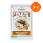 Ouay Un Osoth Mr. Herb Lozenges Ginger Lime 500mg for Throat Comfort 20 Tablets