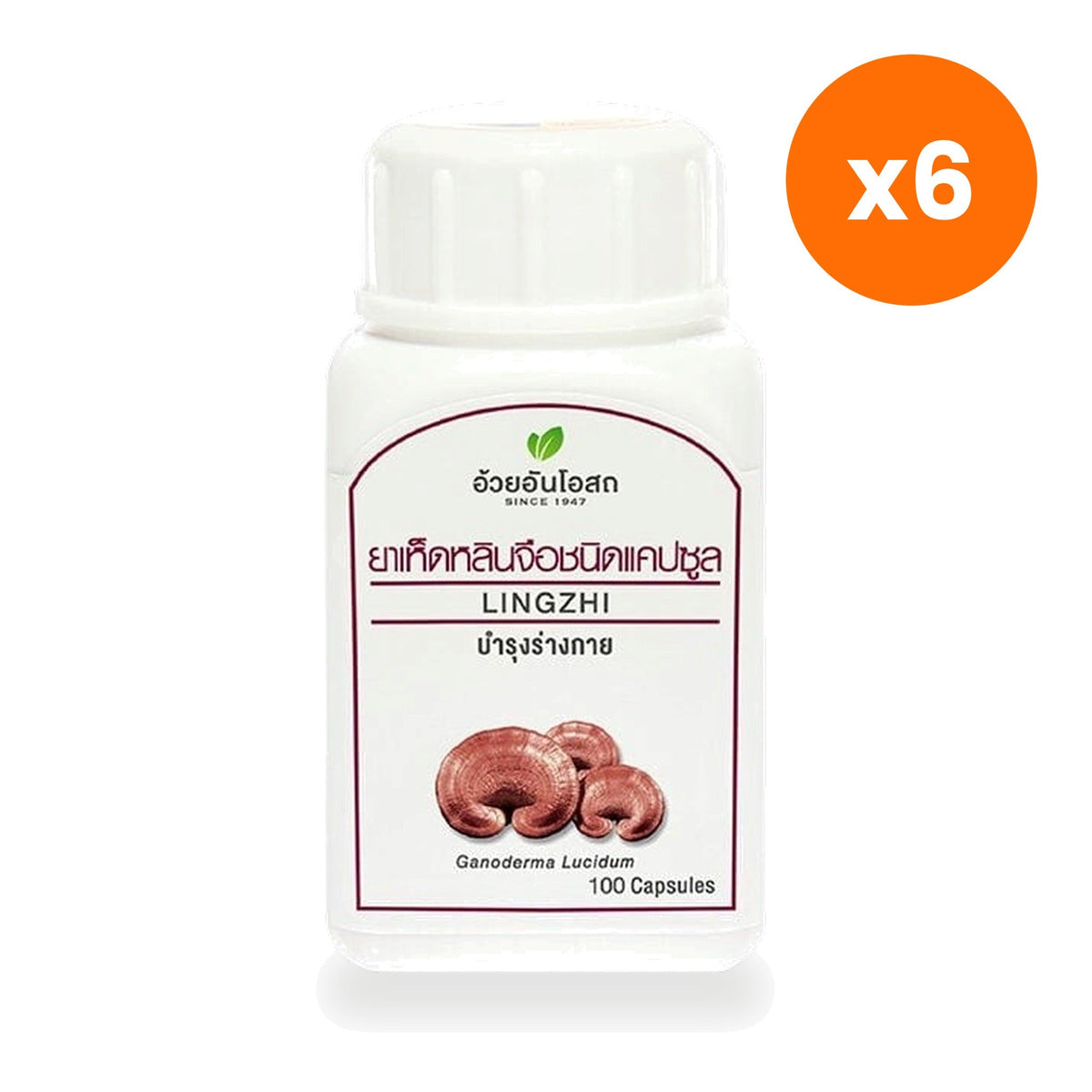 Ouay Un Osoth Reishi Mushroom Capsules 300mg for Everyday Wellness 100 Capsules