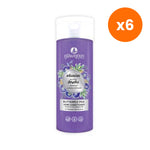 Poompuksa Butterfly Pea Hair Conditioner for Scalp and Hair Care 200 ml – 6 pack bundle