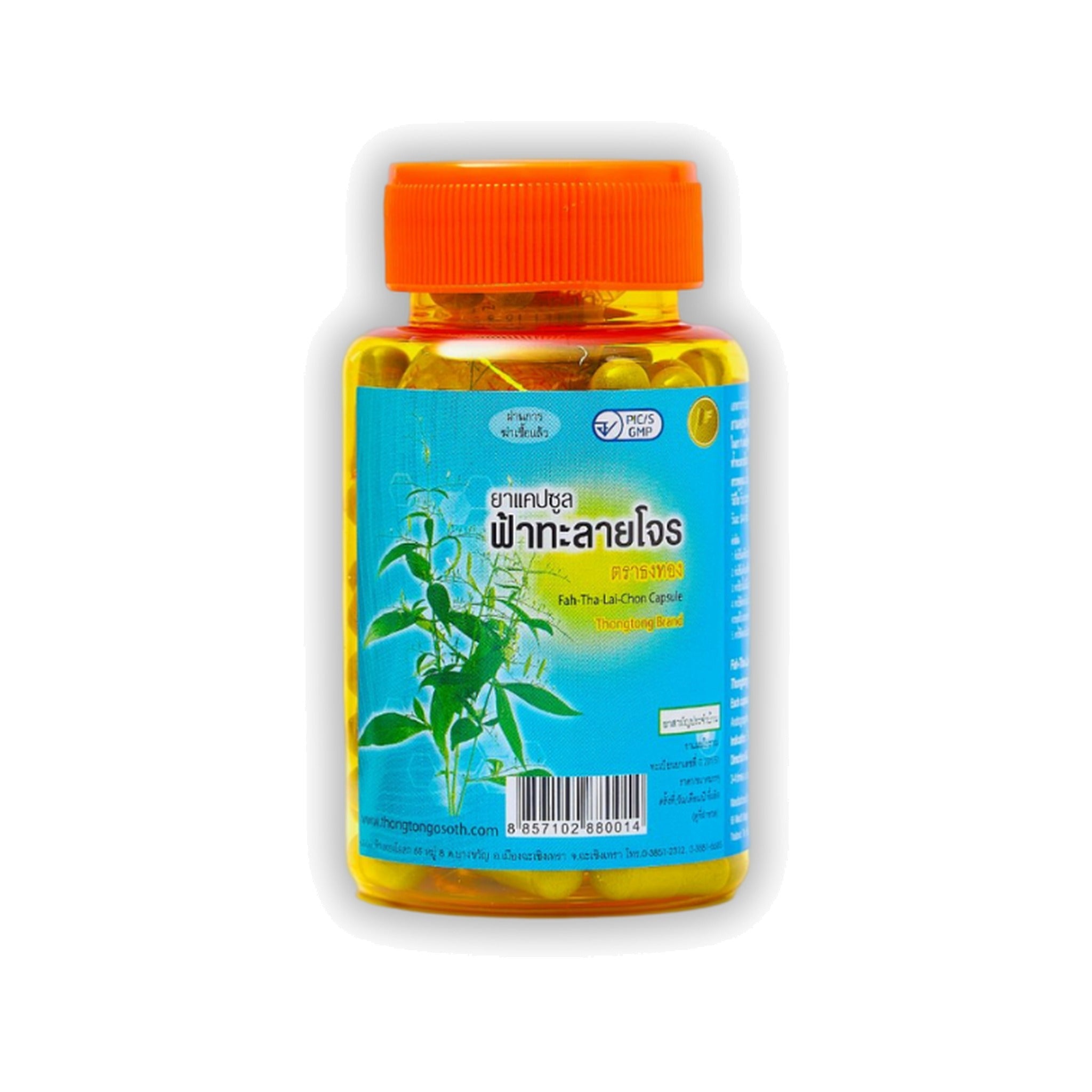 Thongtong Osoth Andrographis Capsules ‚ 100 Capsules