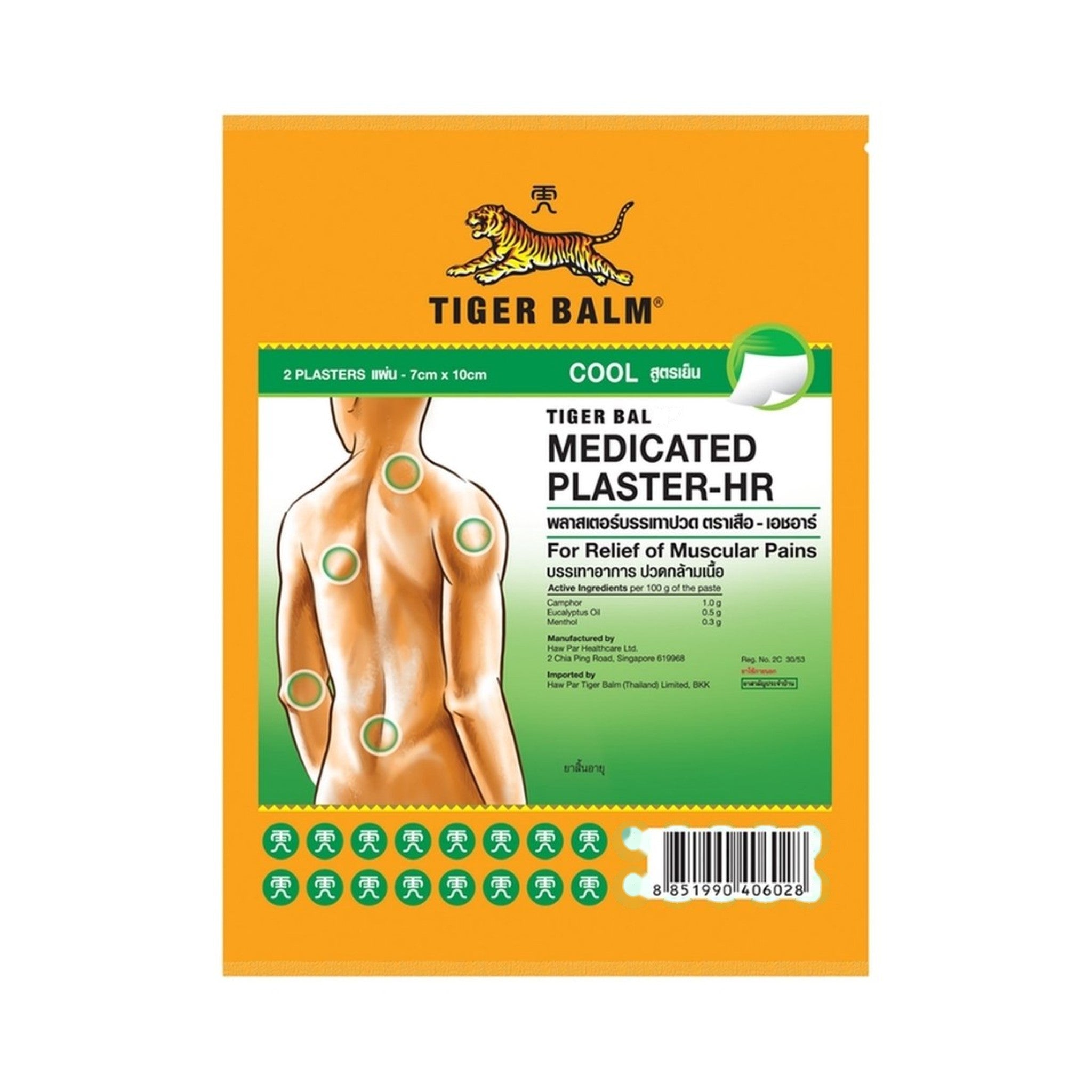 Tiger Balm Small Medicated Plaster for Muscle Comfort 1 Patch