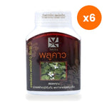 Tumrub Thai Houttuynia Cordata Capsules for Daily Immune Support 100 Capsules
