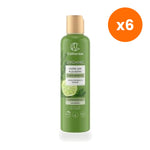 Tumrub Thai Kaffir Lime Citrus Hystrix Shampoo Scalp for Healthy Hair Condition 250 ml