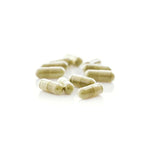 Erawadee No.19 Boraphet Tinospora 250mg for Daily Immune Support 100 Capsules